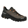 Salewa | Alp Trainer 2 GTX Scarpa Escursionismo Uomo - Marrone